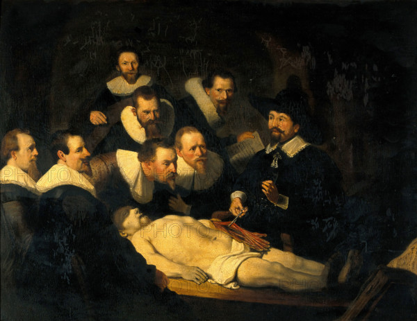 The anatomy of Dr Nicolaes Tulp. Creator: Rembrandt Harmenszoon van Rijn, 1606-1669 (After).