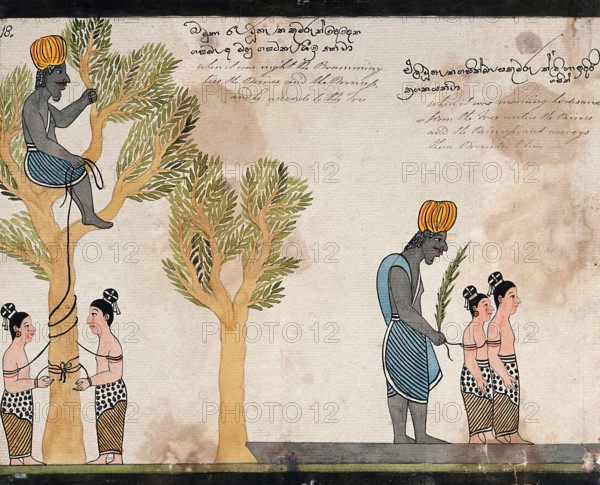 The brahmin, sitting in a tree, keeps the children of Vessantara tied up all night, and in..., 1815. Creator: Unknown.