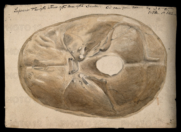 Interior of the base of the human skull, 1854/03/16. Creator: J.C. Whishaw.
