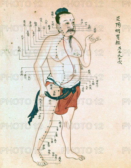 Acupuncture chart with a series of points indicated on the figure of a standing Chinese man. Creator: Unknown.