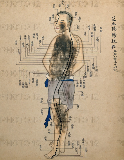Acupuncture chart with a series of points indicated on the figure of a standing Chinese man. Creator: Unknown.