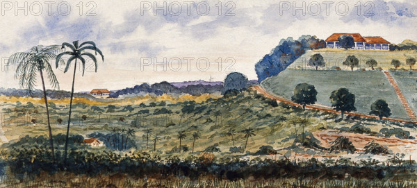 Singapore: a hill known as "Mount Echo", 1879. Creator: John Edmund Taylor.