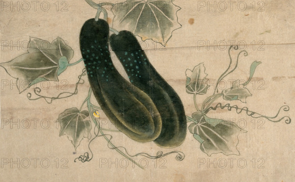 Two dill cucumbers, (unknown date). Creator: Unknown.