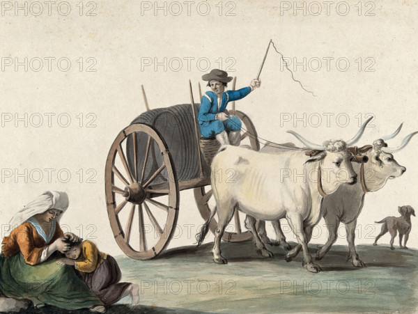 A man driving a cart pulled by two oxen; in the left foreground a woman picks fleas from a boy's hea Creator: Unknown.
