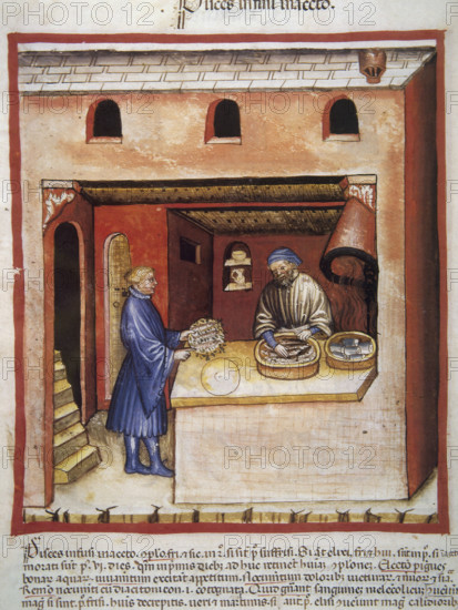 Man marinating fish in vinegar, 14th century. Creator: Unknown.