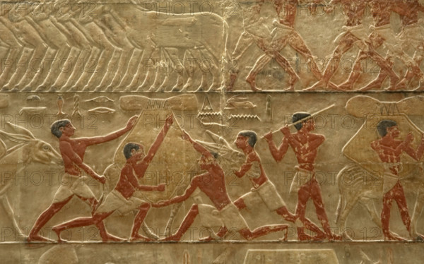 Relief detail of agricultural scene, Mastaba of Ti, Egypt, 5th Dynasty (2003). Creator: Unknown.