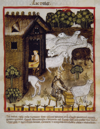 Sweet milk, 14th century. Creator: Unknown.