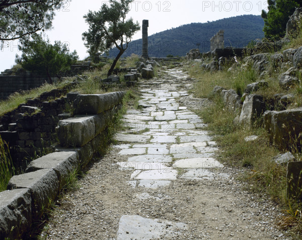 Theatre Street, Priene, Ionia, Anatolia, Turkey, 1999. Creator: Unknown.