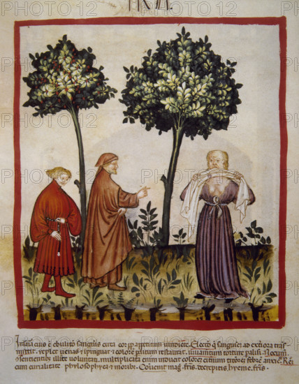 A man flies into a rage, 14th century. Creator: Unknown.