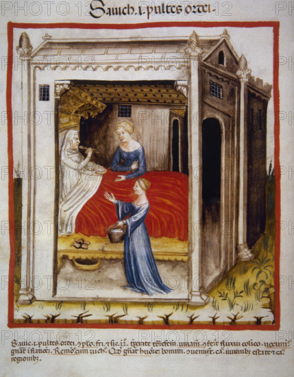 Barley porridge, 14th century. Creator: Unknown.