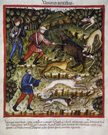 Boar hunting, 14th century. Creator: Unknown.