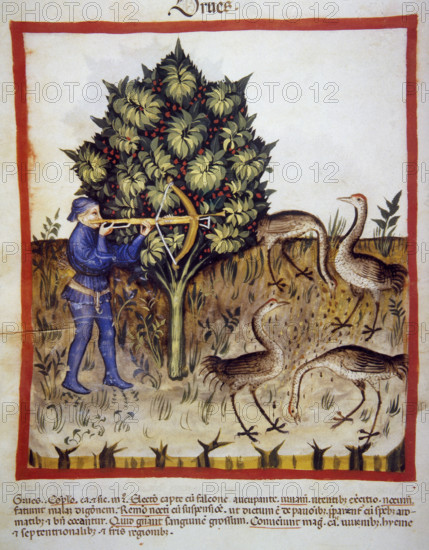 Hunting, 14th century. Creator: Unknown.