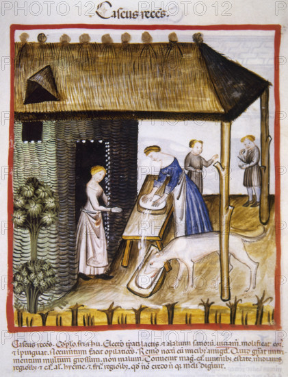 Fresh or unmatured cheese, 14th century. Creator: Unknown.