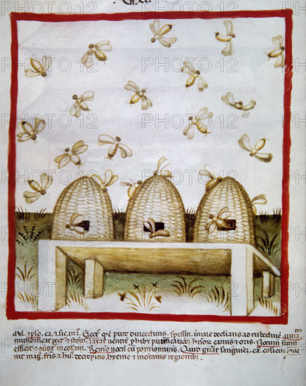 Honey, 14th century. Creator: Unknown.