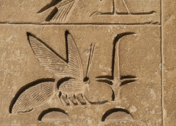 Hieroglyphic writing relief: Upper Egypt, (rush) and Lower Egypt (bee), Saqqara, Egypt, 2015. Creator: Unknown.
