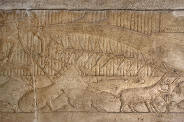 Fishing scene relief, Mastaba of Kagemni, Saqqara, Egypt, Old Kingdom, 6th Dynasty, 2350 BC (2003). Creator: Unknown.