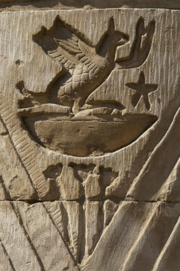 Bird relief, Temple of Kom Ombo, Egypt, Ptolemaic Dynasty, 2nd century BC (2003). Creator: Unknown.