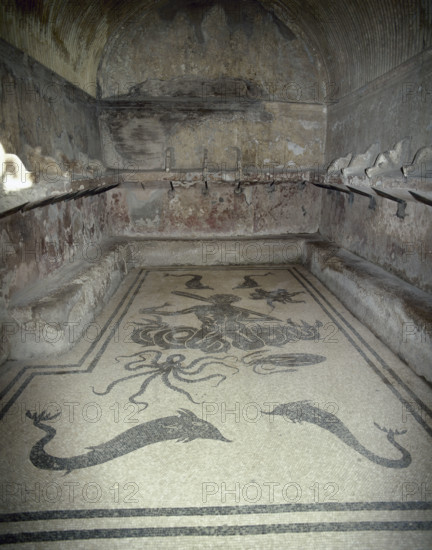Mosaic with Triton, female tepidarium, thermal baths, Herculaneum, Italy, 2002. Creator: LTL.