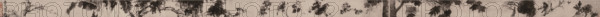 Miscellaneous Plants. Handscroll , Second half of the16th century. Creator: Xu Wei (1521-1593).