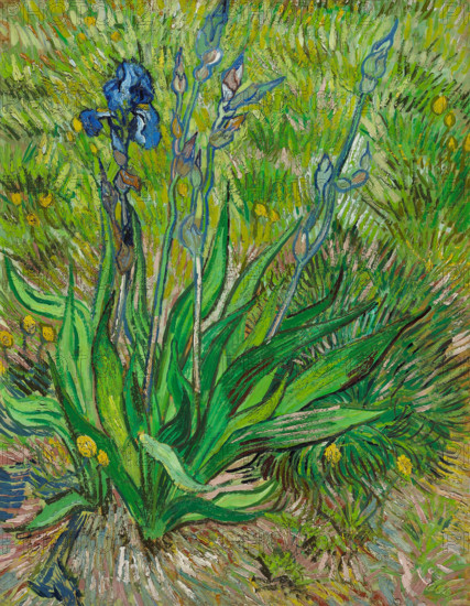 Iris, 1890. Creator: Gogh, Vincent, van (1853-1890).
