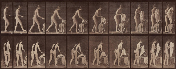 Animal Locomotion. Plate 415, 1887. Creator: Muybridge, Eadweard (1830-1904).
