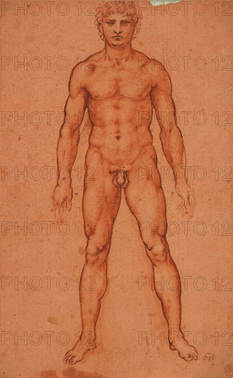 Standing male nude, 1503-1506. Creator: Leonardo da Vinci (1452-1519).
