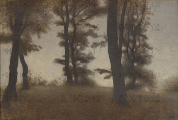 Tree Trunks. Arresødal near Frederiksværk, North Zealand, 1904. Creator: Hammershøi, Vilhelm (1864-1916).
