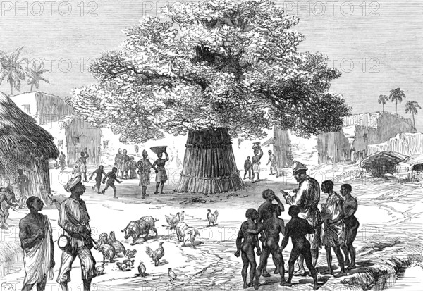 The Ashantee War: fetish tree in village near Cape Coast Castle...sketch by our special artist, 1874 Creator: Unknown.