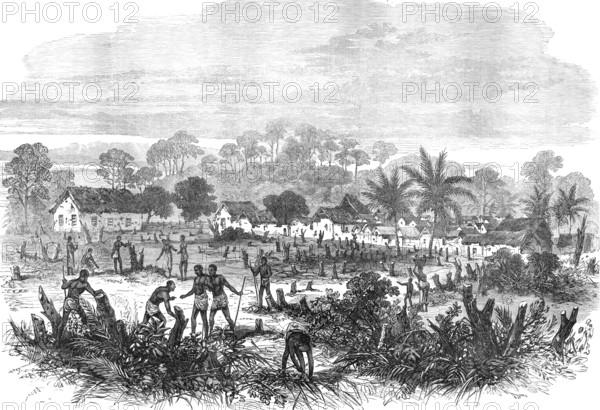 The Ashantee War: the battle-field of Abrakrampa - from a sketch by our special artist, 1874. Creator: Unknown.