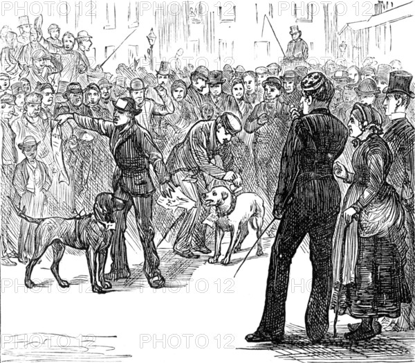 Metropolitan Boroughs election sketches: "Whig" and "Tory", 1874. Creator: Unknown.