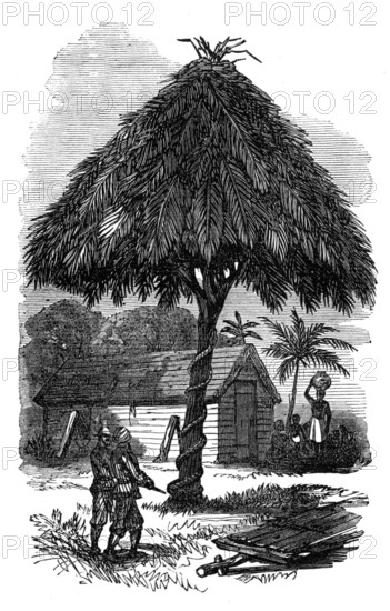 The Ashantee War: the camp whipping-post at Inquabim, 1874. Creator: Unknown.