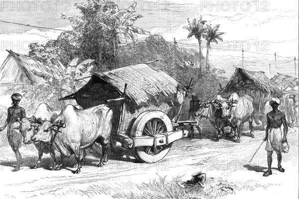 The Famine in Bengal: bullock hackeries for carrying grain, 1874. Creator: Unknown.