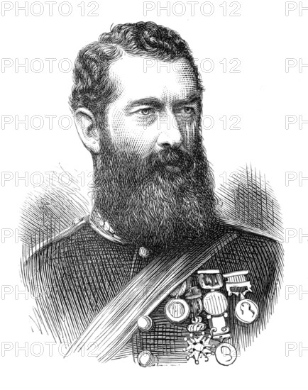 Col. F. W. Festing, C.B., Royal Marine Artillery, 1874. Creator: Unknown.
