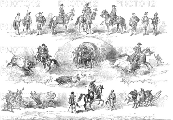 The performers in the bull-fight at Lisbon, 1874. Creator: Unknown.