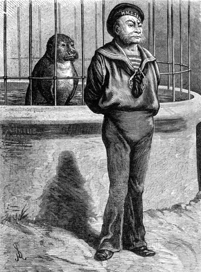 Odd Sketches at the Zoological Gardens: Messmates, 1881. Creator: Unknown.