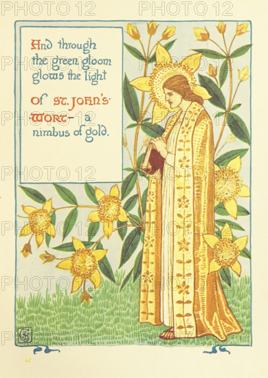 And through the green gloom glows the light Of St. John's-Wort - a nimbus of gold, 1899. Creator: Walter Crane.