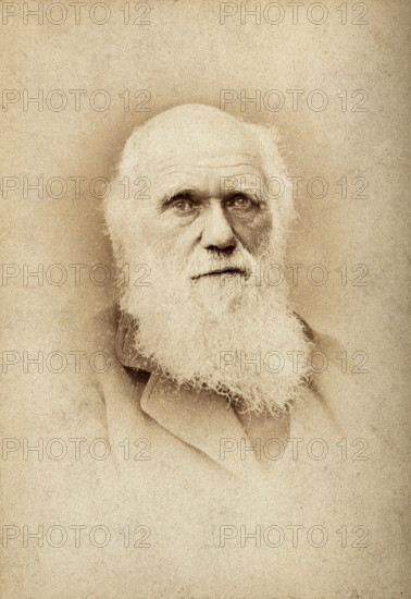 Charles Robert Darwin. Creator: Barraud.