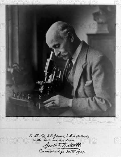 George Henry Falkiner Nuttall, 1931. Creator: T Whitlock.