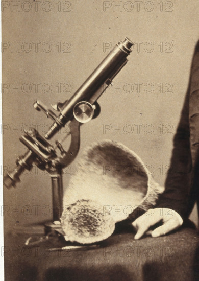 James Scott Bowerbank. Creator: Unknown.