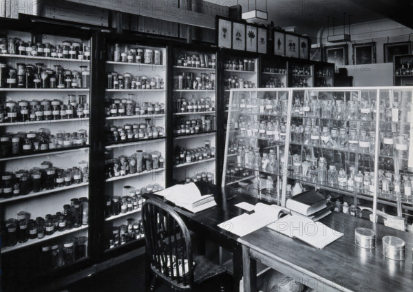 The Wellcome Building, Euston Road, London: working area in the materia medica stores, c1930s.. Creator: Unknown.