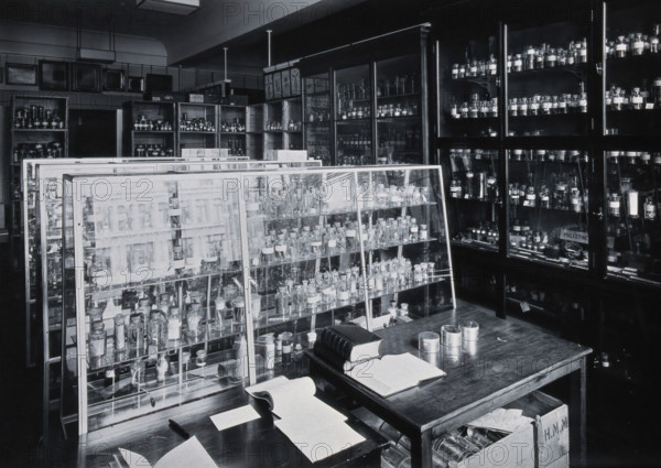 The Wellcome Building, Euston Road, London: working area in the materia medica stores, c1910s. Creator: Unknown.