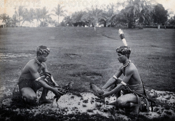 Sarawak: two Sea Dayaks at a cockfight, c1900. Creator: Unknown.