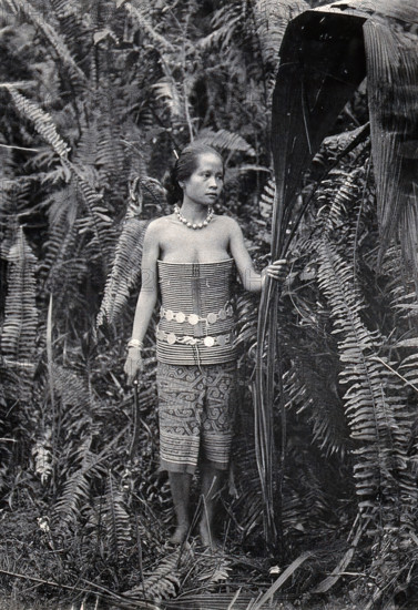 Sarawak: a girl picking leaves for use as fibres, c1900. Creator: Unknown.