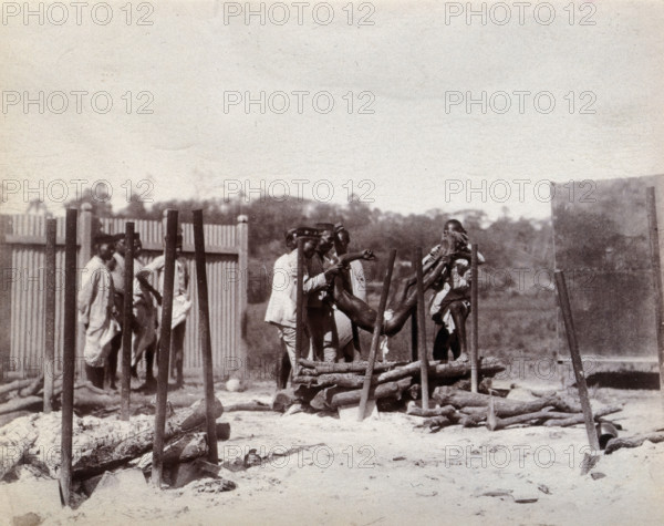 A group of men lower the body of a dead man on to a pyre of logs prior to a Hindu..., 1896/1897. Creator: Unknown.