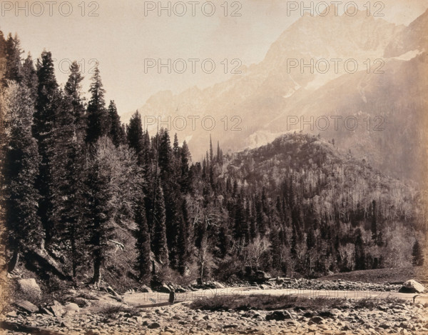 Kashmir: a mountain valley and forest, between 1800 and 1899. Creator: Samuel Bourne.