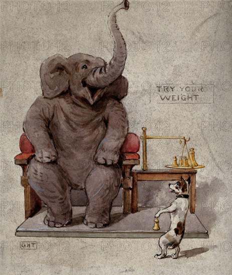 An elephant seated in an armchair is being weighed by a small dog, 1900. Creator: George Hope Tait.
