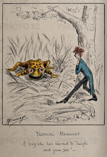 A young man chances on a gigantic yellow frog, c1860s. Creator: Edwin Harcourt Burrage.
