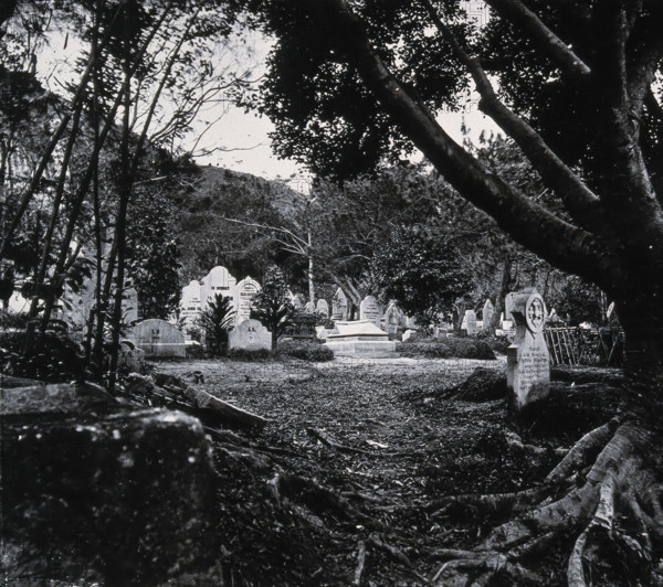 Cemetery, Happy Valley, Hong Kong, 1981 (from a negative of 1868/1871). Creator: John Thomson.