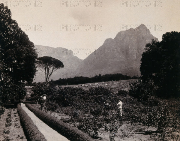 South Africa: Cecil Rhodes's garden near Devil's Peak in Johannesburg, 1896. Creator: Unknown.