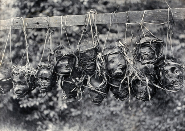 Sarawak: preserved and decorated human heads taken and strung up by Sea Dayaks, c1900. Creator: Unknown.